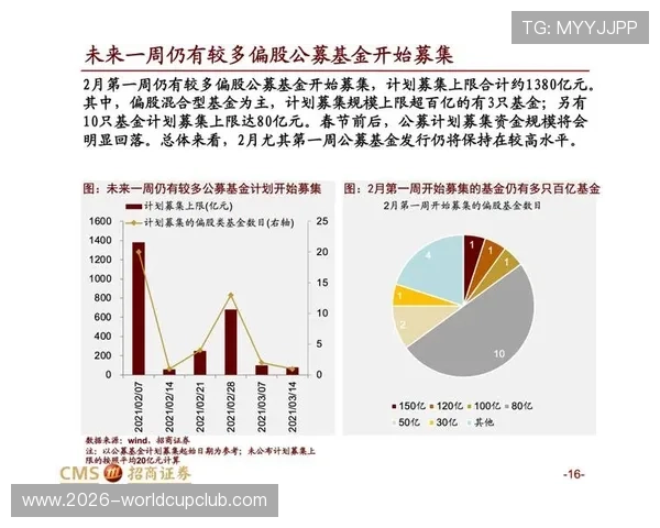 利用中国体育彩票参与2026世界杯竞猜的风险控制与盈利策略全解析